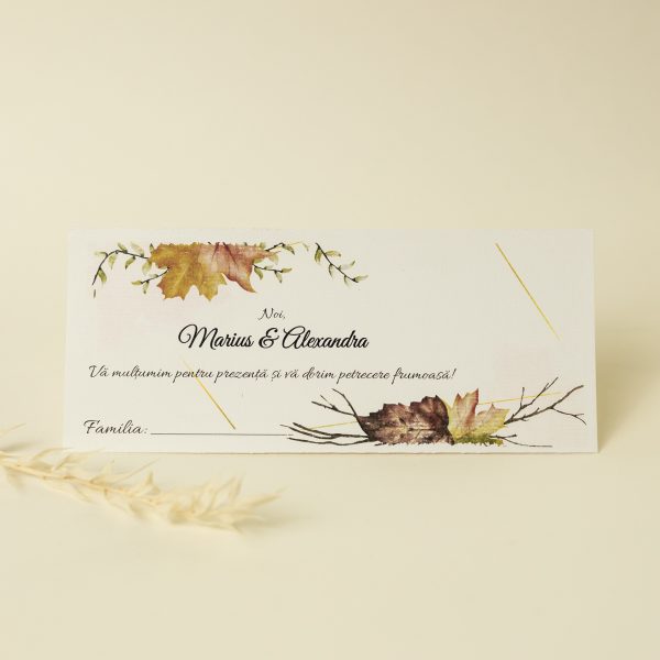 Plic pentru bani PINPB25 - imagine 2