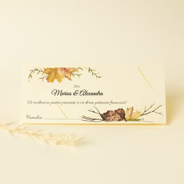 Plic pentru bani PINPB25 - imagine 5