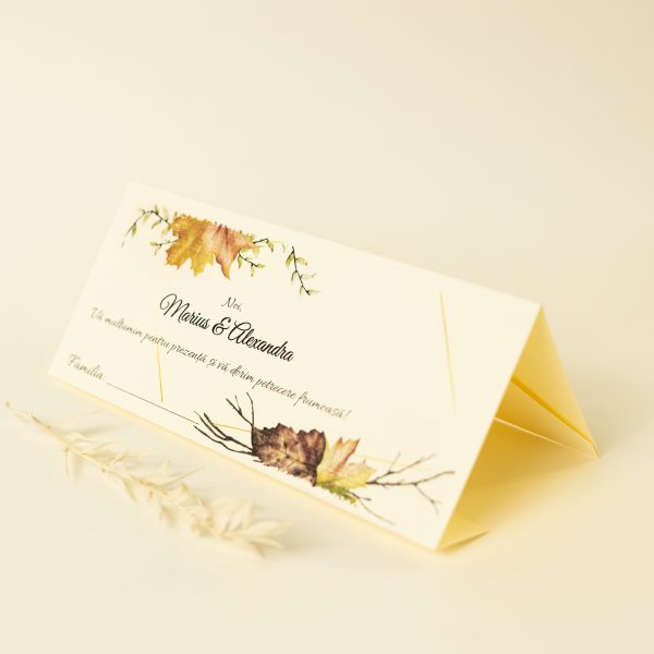 Plic pentru bani PINPB25 - imagine 4