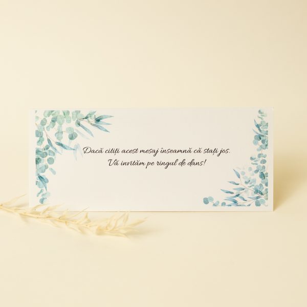 Plic pentru bani PINPB01 - imagine 3