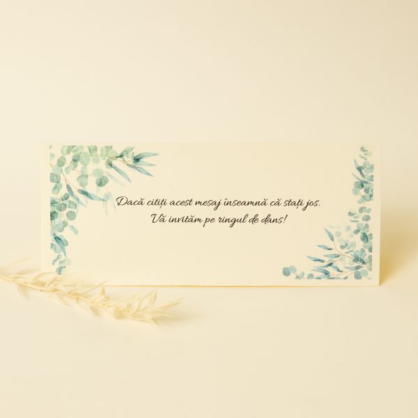 Plic pentru bani PINPB01 - imagine 6