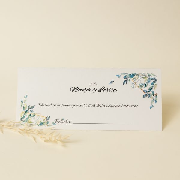 Plic pentru bani PINPB03 - imagine 2