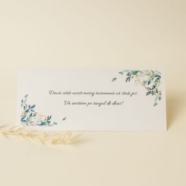 Plic pentru bani PINPB03 - imagine 3