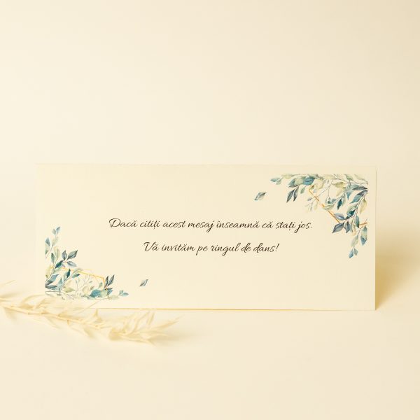 Plic pentru bani PINPB03 - imagine 6