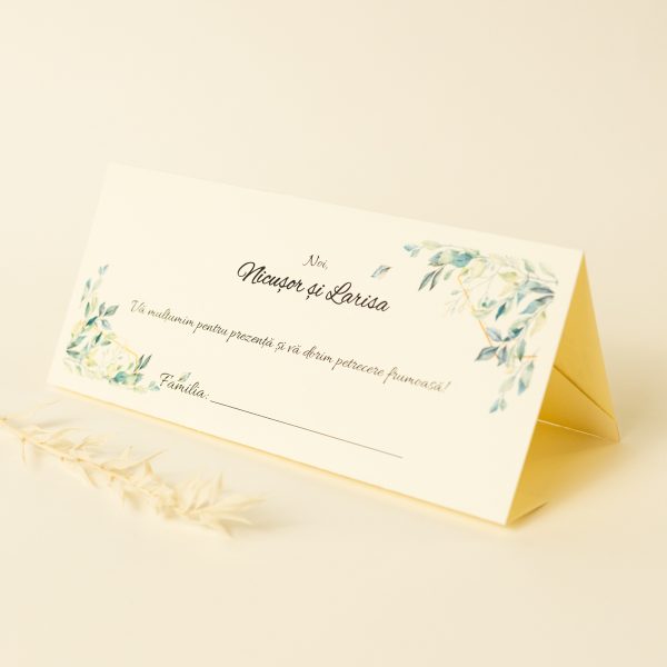 Plic pentru bani PINPB03 - imagine 4