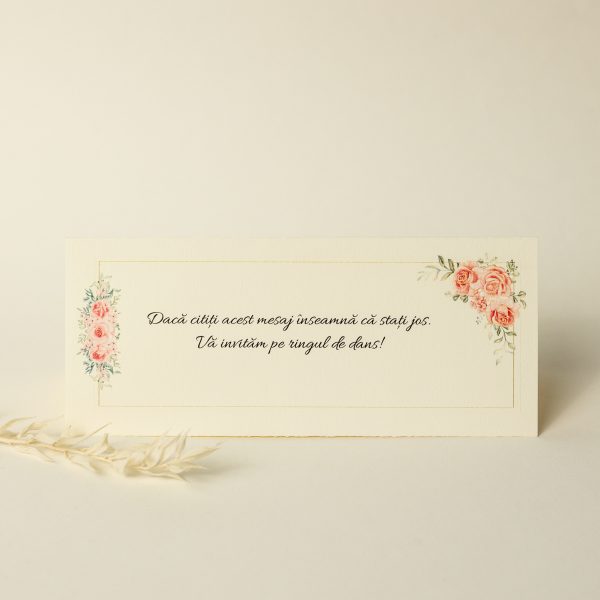 Plic pentru bani PINPB05 - imagine 6