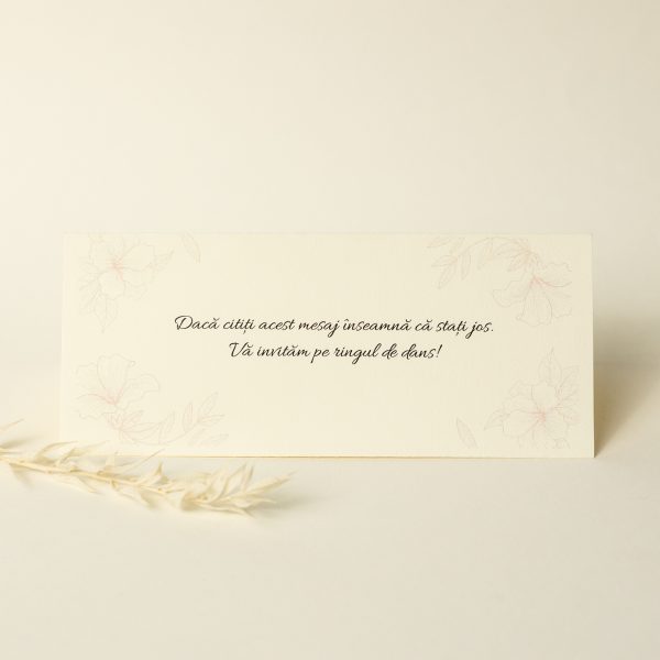 Plic pentru bani PINPB04 - imagine 6