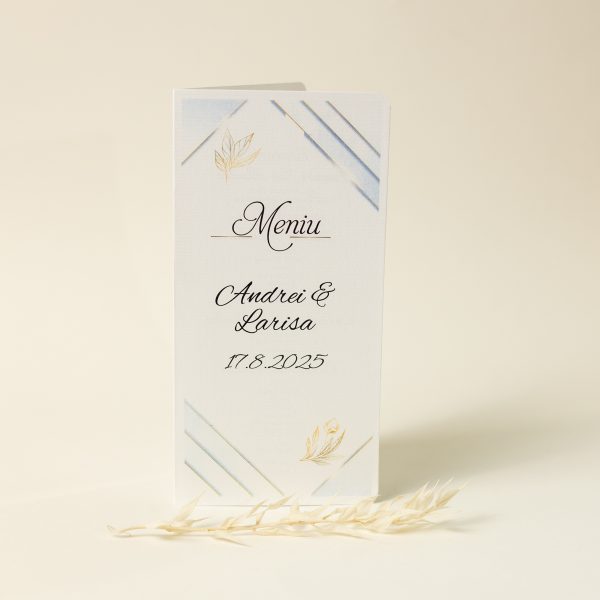 Meniu tip carte PINMC05