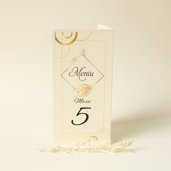 Meniu tip carte PINMC14 - imagine 6
