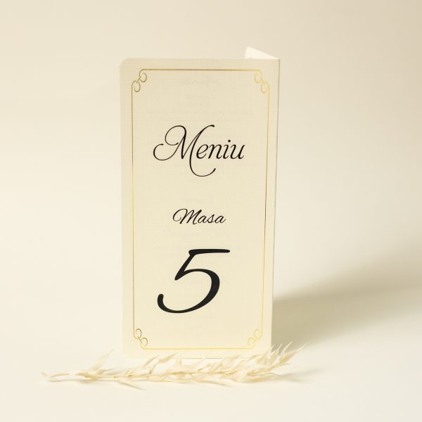 Meniu tip carte PINMC12 - imagine 6