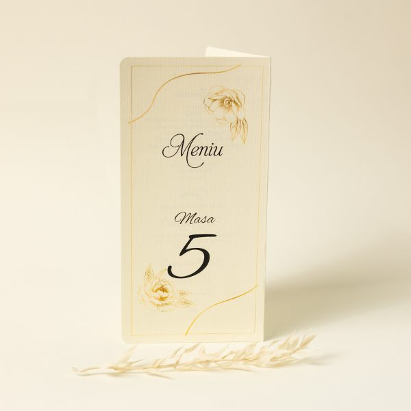 Meniu tip carte PINMC10 - imagine 6