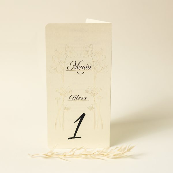 Meniu tip carte PINMC15 - imagine 6