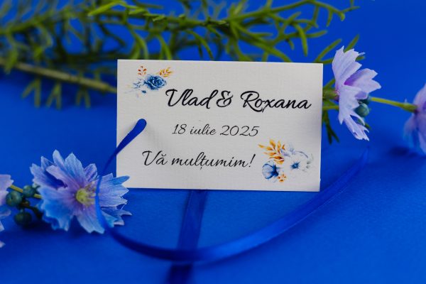 Cartonaș pentru mărturii PINCM03