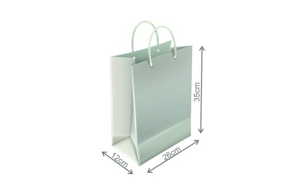 Pungă de hârtie pentru mărturii PINP09 26x35x12cm - imagine 3