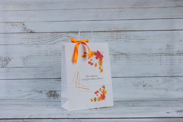 Pungă de hârtie pentru mărturii PINP08 18x24x8cm - imagine 2