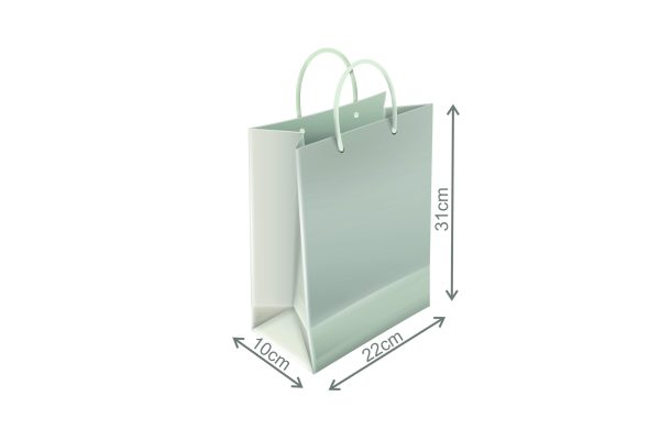 Pungă de hârtie pentru mărturii PINP07 22x31x10cm - imagine 3