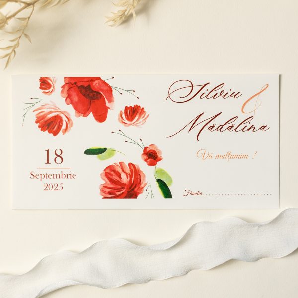 Plic pentru bani PINPB51 - imagine 2